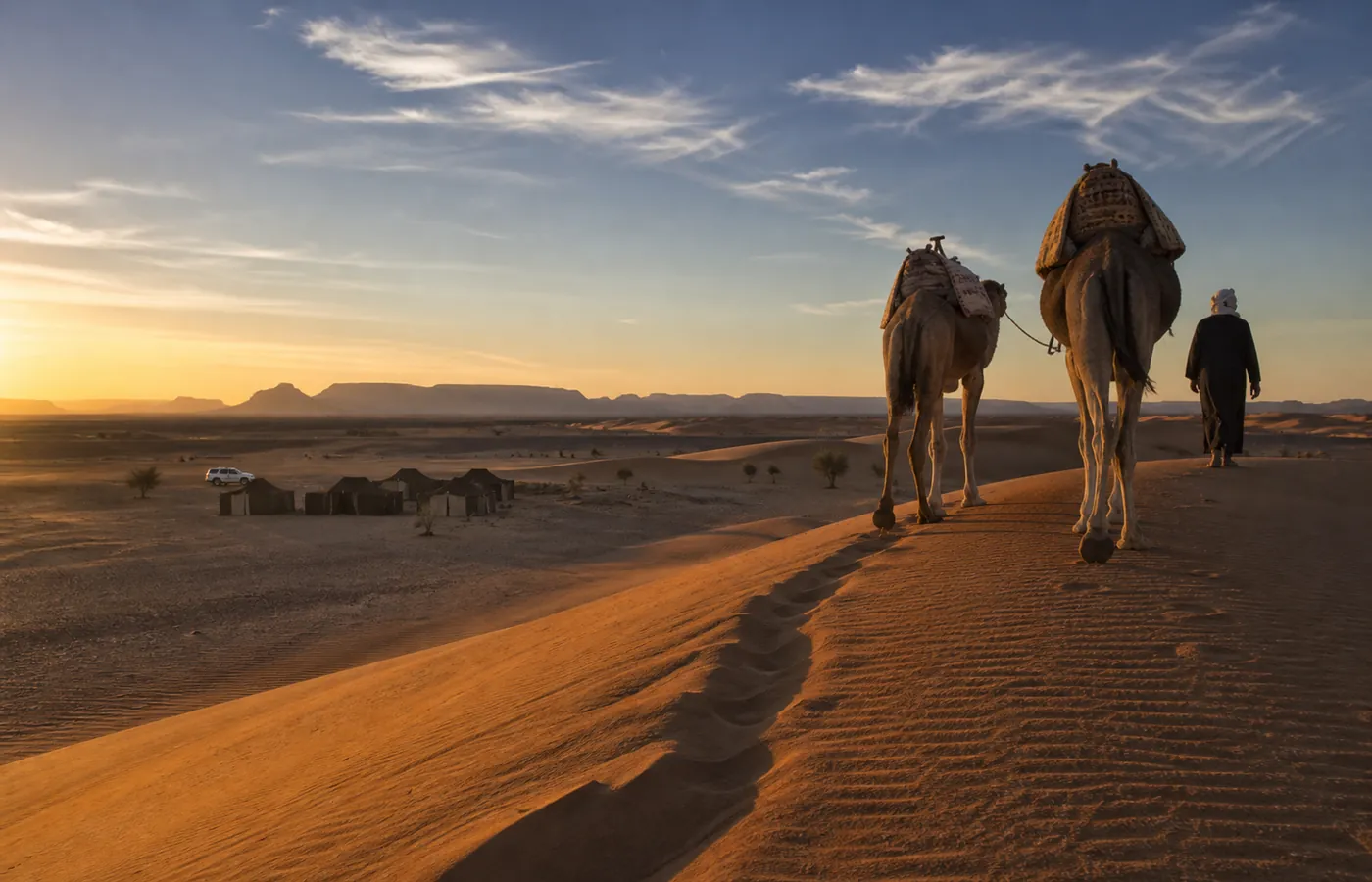 A guide and two camels on a dune at sunset